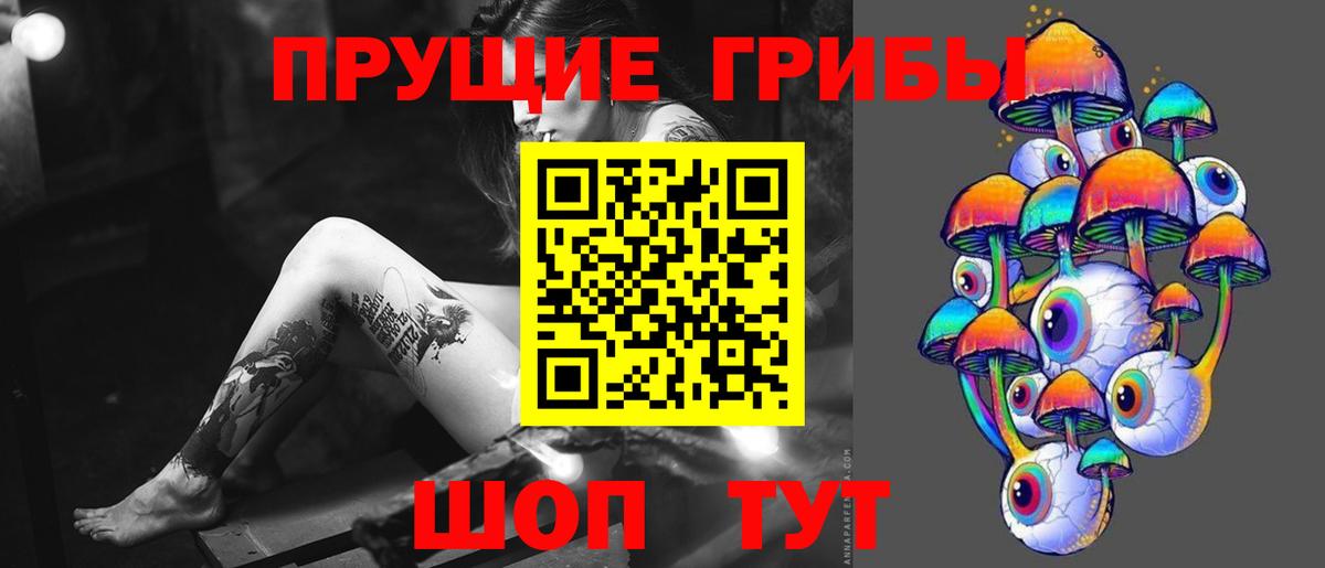 Гай  Псилоцибиновые грибы Cubensis  Галлюциногенные грибы ЛСД  Вход с VPN 